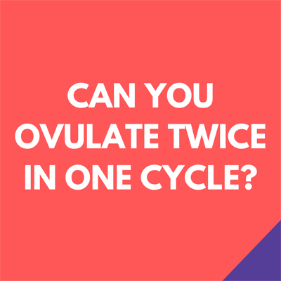 Can you ovulate twice in one cycle?