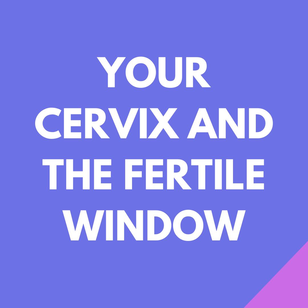 What your cervix can tell you about ovulation and fertile window