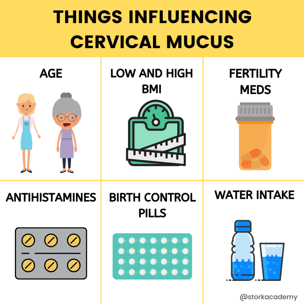 Things influencing your cervical mucus: find peak fertility