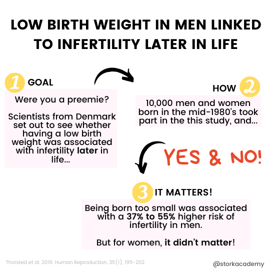 low birth weight male fertility