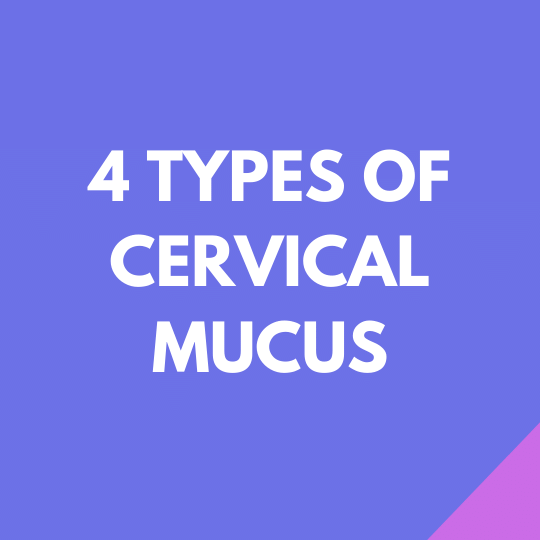 the four types of cervical mucus