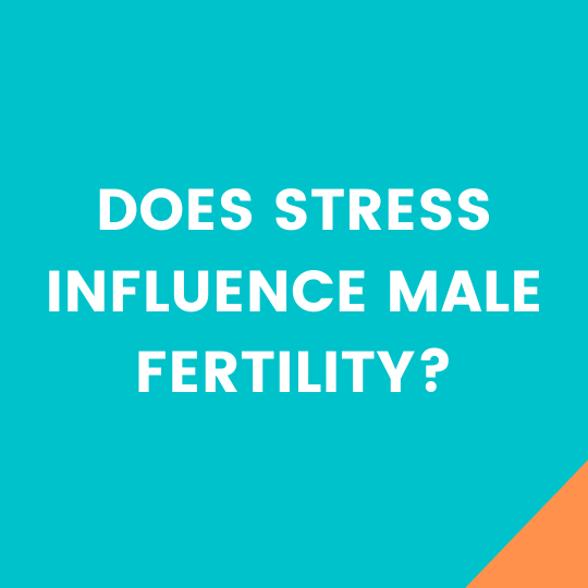 male fertility stress