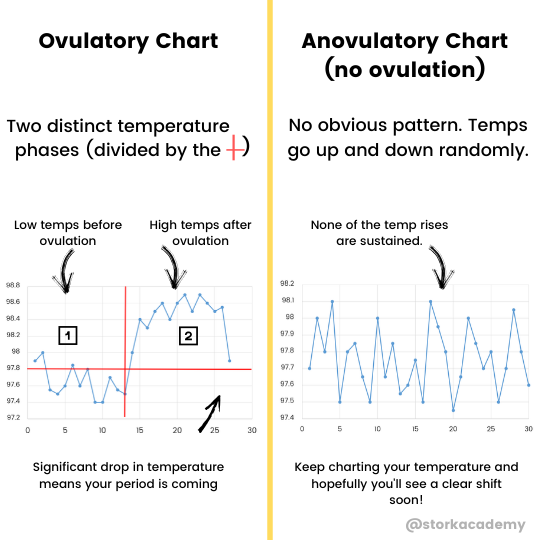 Confirming ovulation with BBT example