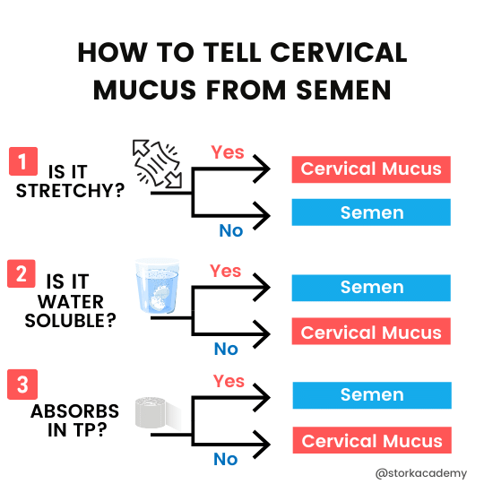 Flow chart telling apart semen and cervical mucus