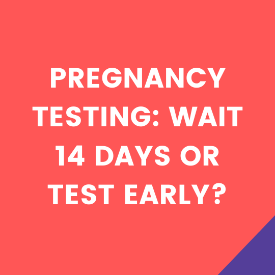 Quick Tip: Pregnancy Testing: Wait 14 Days or Test Early?