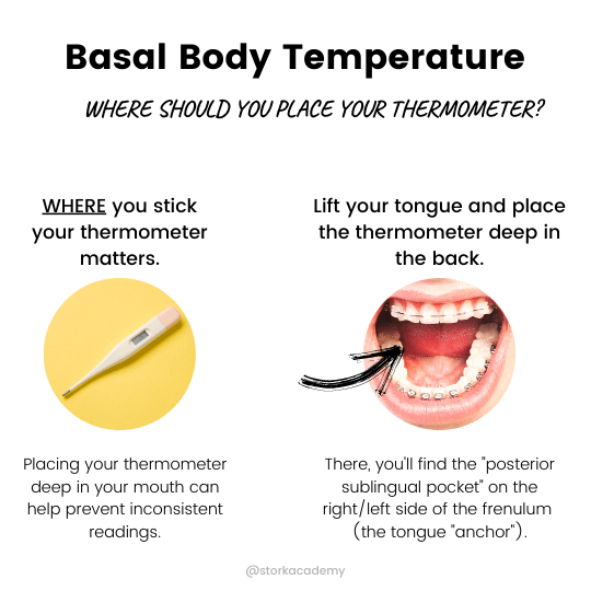 basal body thermometer placement