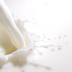 milk and other dairy - how does it influence fertility?