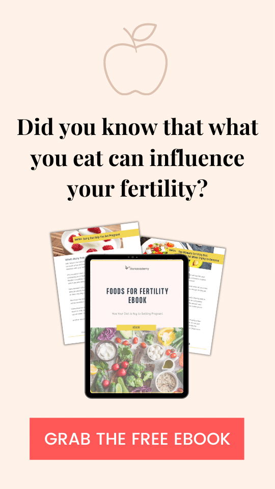 foods for fertility book