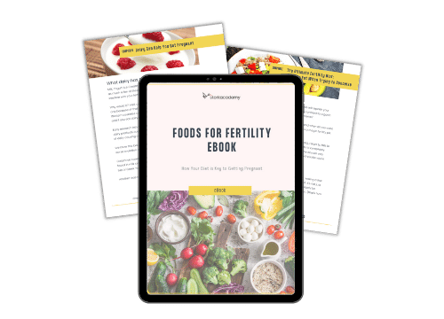 foods for fertility ebook