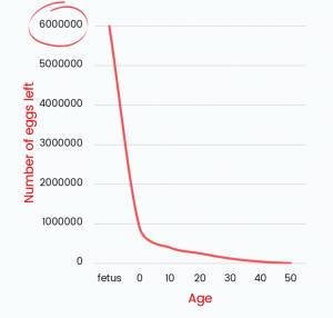 The number of eggs women have left starting as a fetus until age 50.