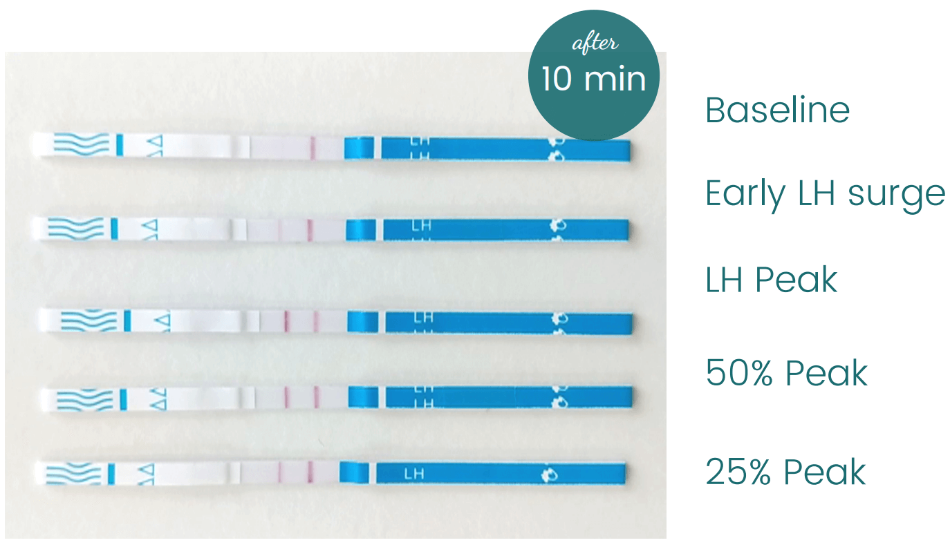 Clinical Guard OPK test results