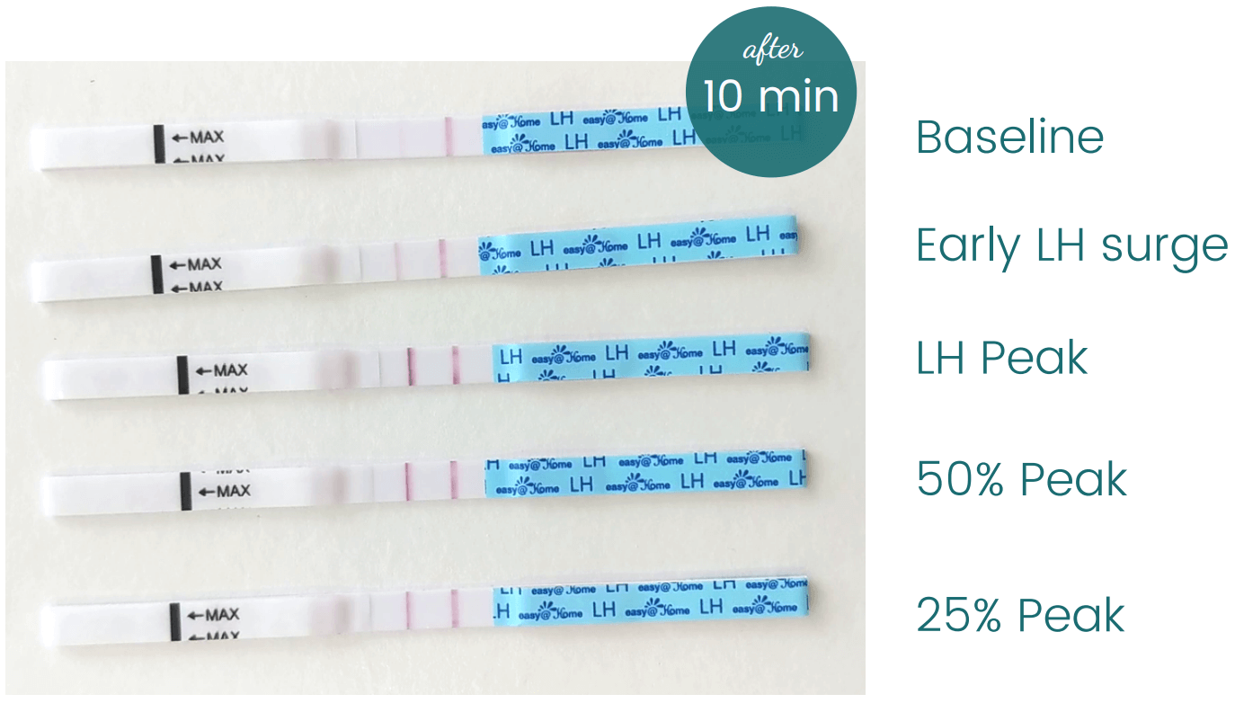easy at home ovulation test results