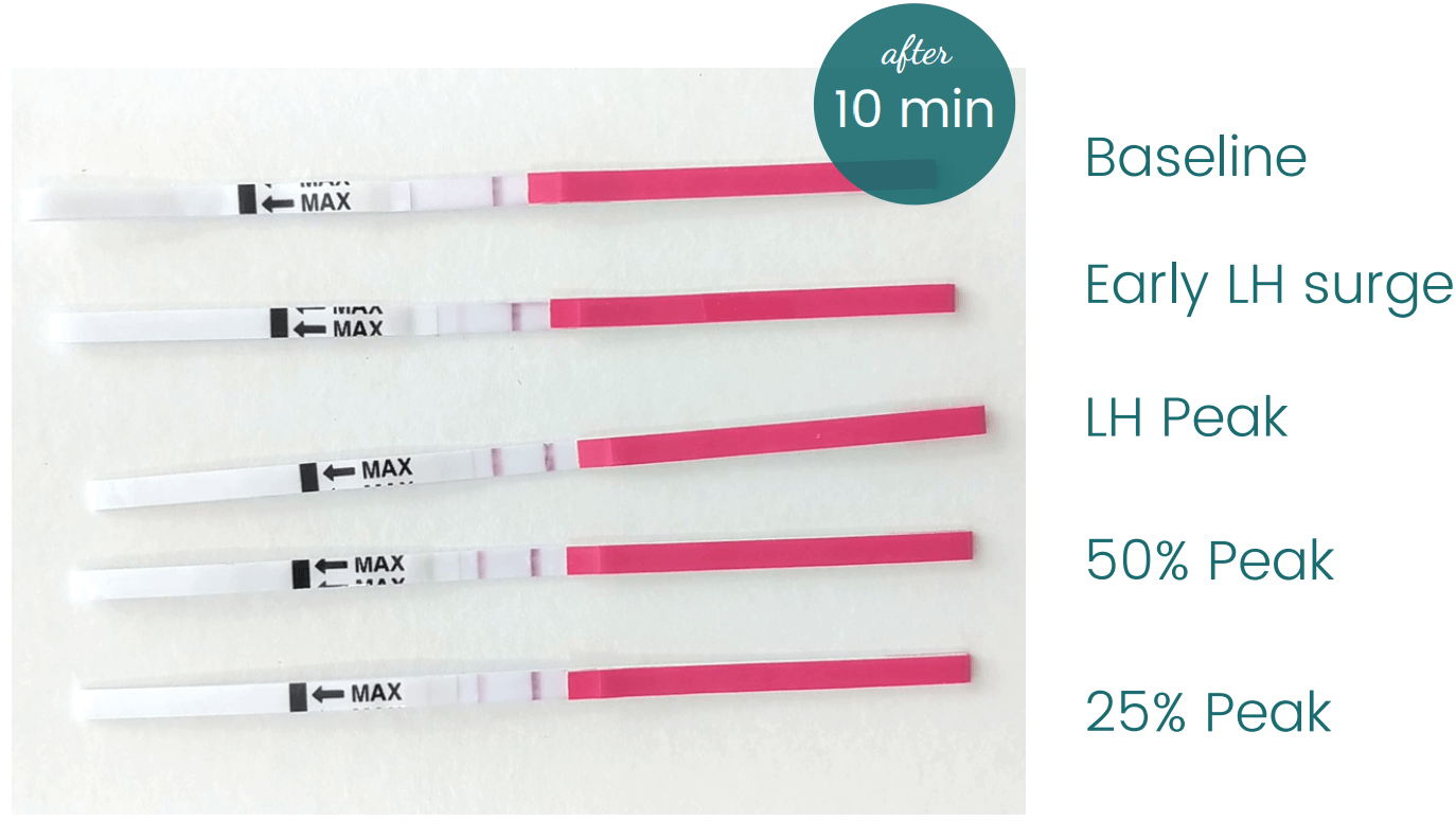 Generic ovulation test results