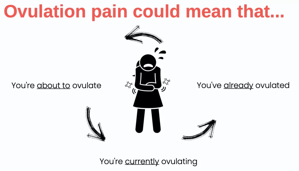 Ovulation Pain when TTC